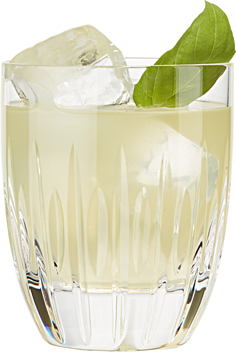 Basil Smash | Summer Gin Cocktails | Hendrick’s Gin