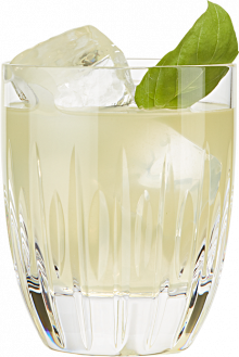 Basil Smash | Summer Gin Cocktails | Hendrick’s Gin
